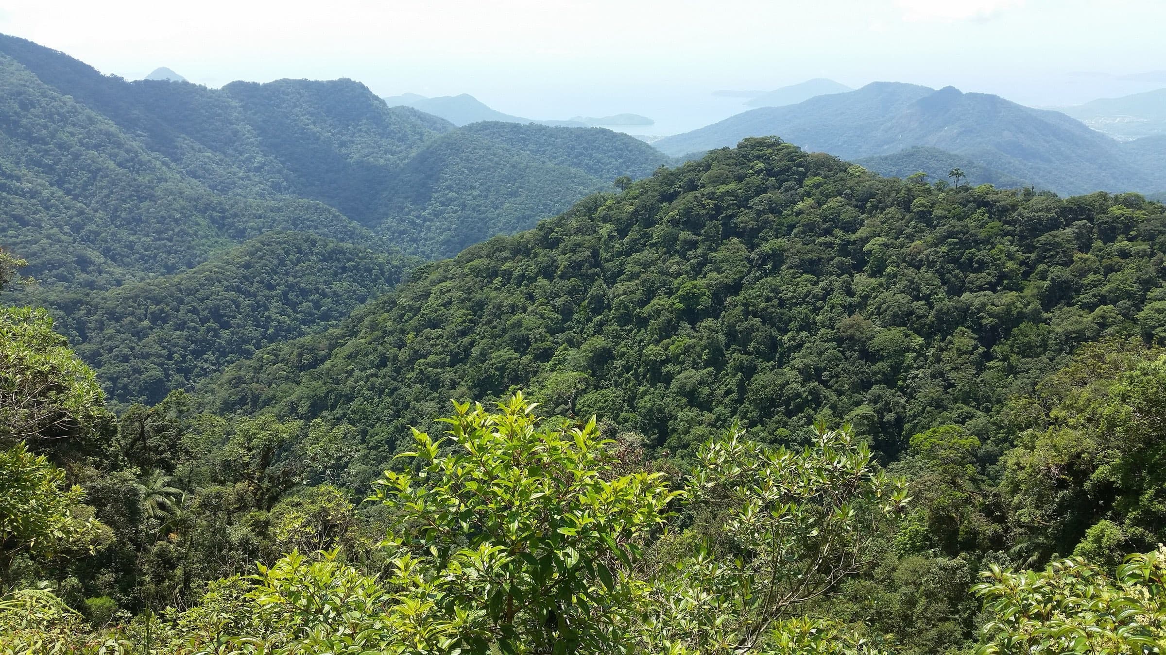 The Serra do Mar in Ubatuba: Atlantic Forest mountains descending towards the sea.